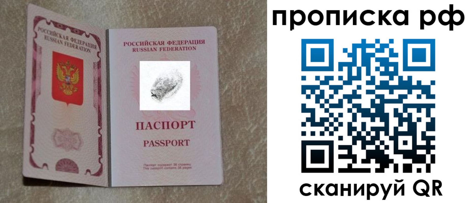 прописка поиск в Тайшете